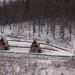 Beskid Holiday home